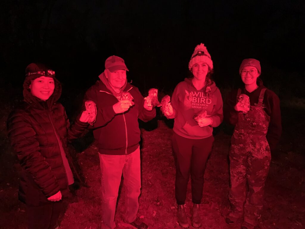 four volunteers holding saw whet owls