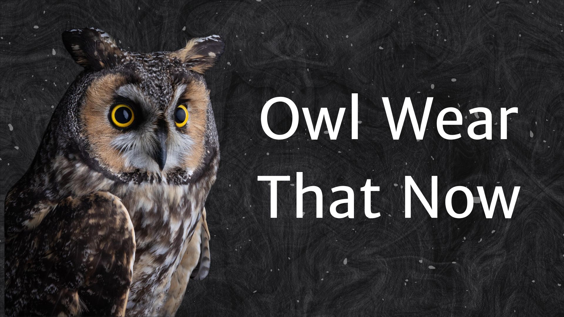 Read more about the article Owl Wear That Now