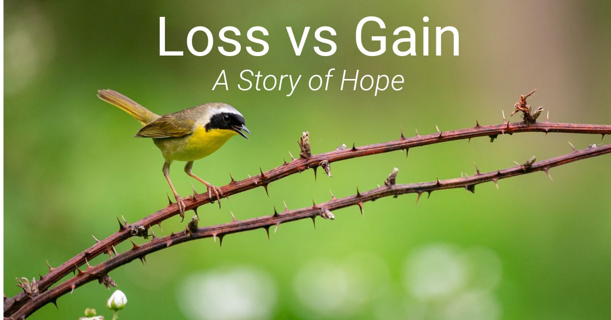 Read more about the article Loss vs Gain – Measured in Grams
